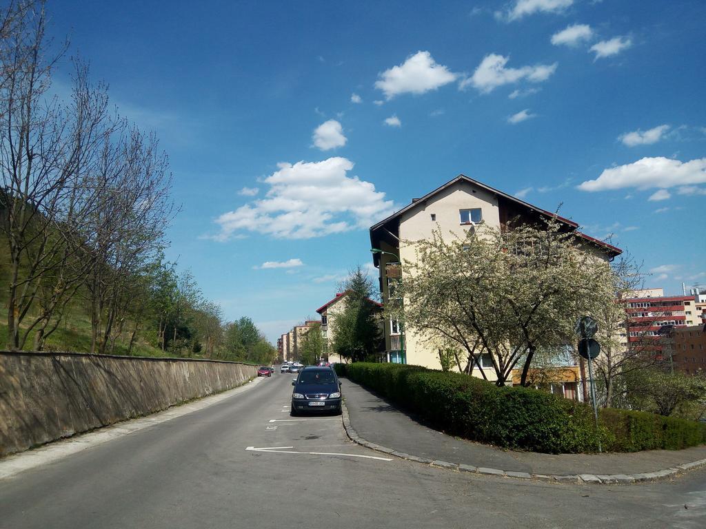 Lexy'S Apartment Brasov Exterior photo